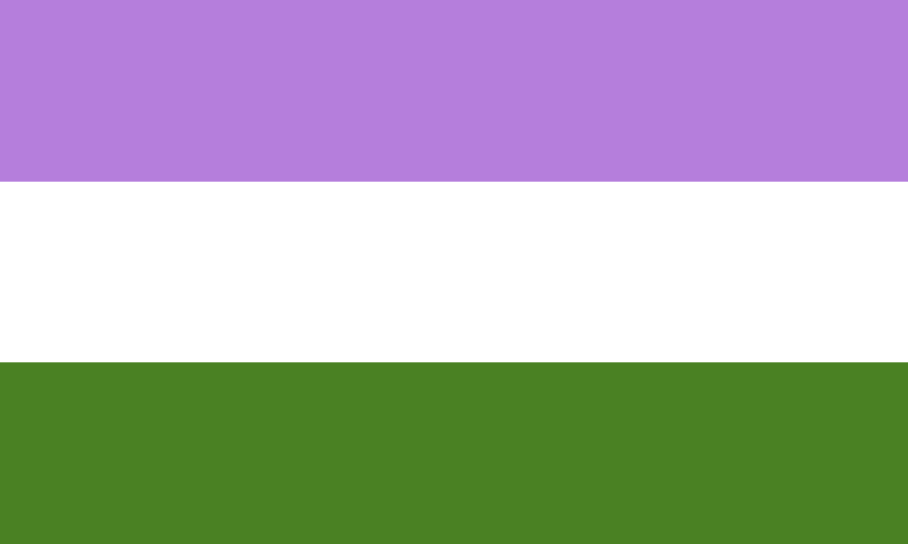 genderqueer pride flag